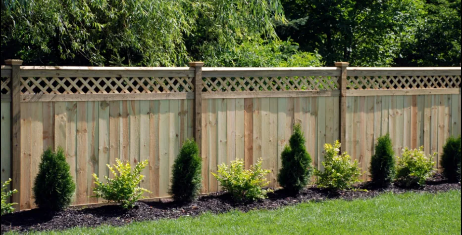 A real wood privacy fence with lattice trim, shrubs, and a residential lawn